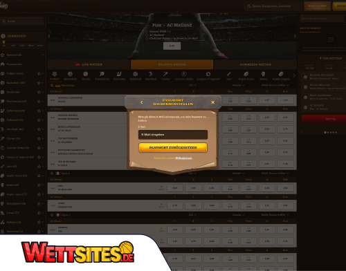 Probleme beim Einloggen_ bei Lizaro