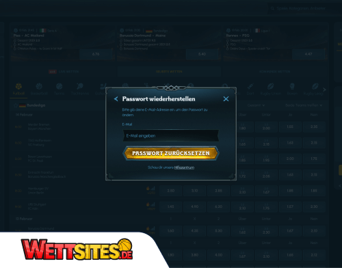 Probleme beim Einloggen_ bei Ragnaro