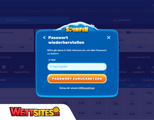 Probleme beim Einloggen_ bei Spinfin