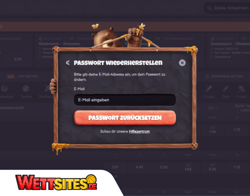 Probleme beim Einloggen_ bei Bearo